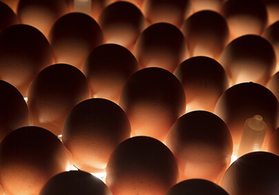 k8����(�й�)����Ӯ�ҡ�һ������