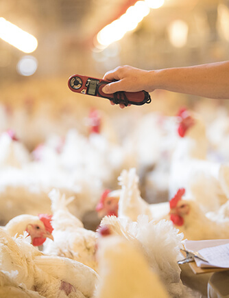 k8����(�й�)����Ӯ�ҡ�һ������