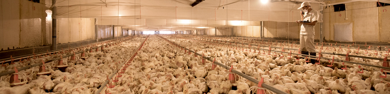 k8����(�й�)����Ӯ�ҡ�һ������