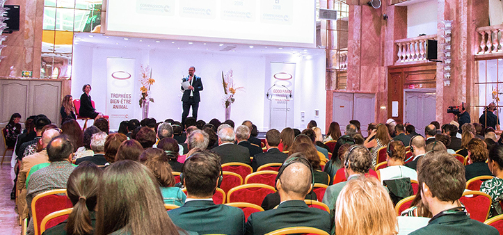 k8����(�й�)����Ӯ�ҡ�һ������