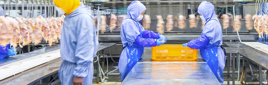 k8����(�й�)����Ӯ�ҡ�һ������