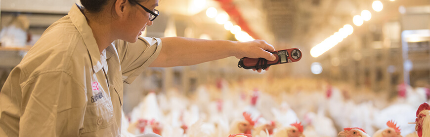 k8����(�й�)����Ӯ�ҡ�һ������