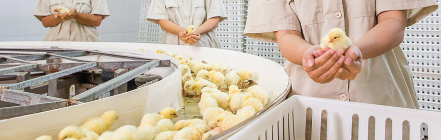 k8����(�й�)����Ӯ�ҡ�һ������