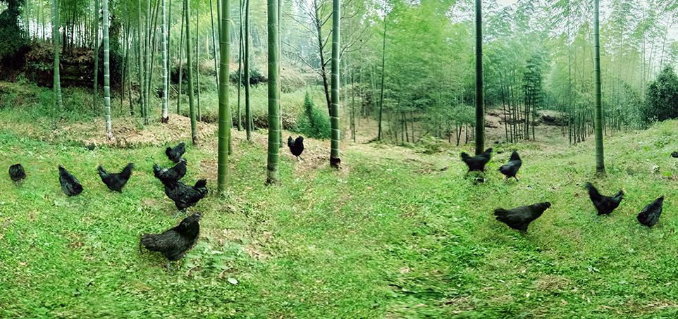 k8����(�й�)����Ӯ�ҡ�һ������