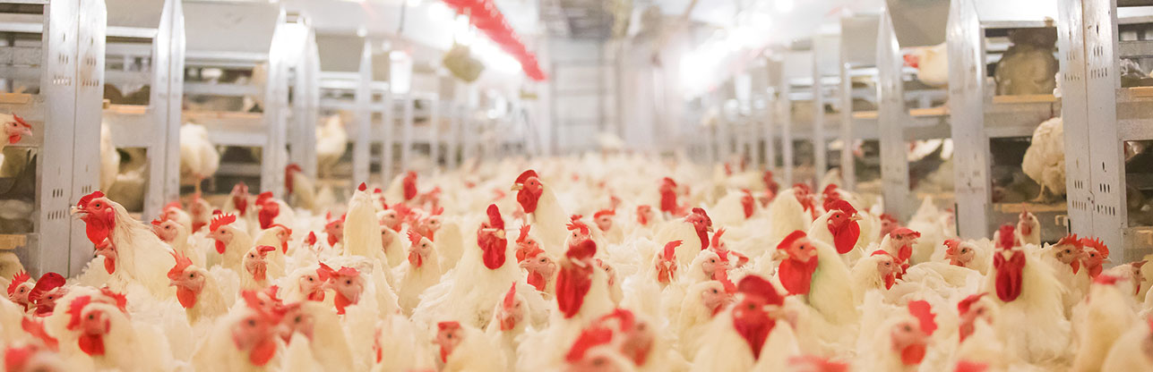 k8����(�й�)����Ӯ�ҡ�һ������