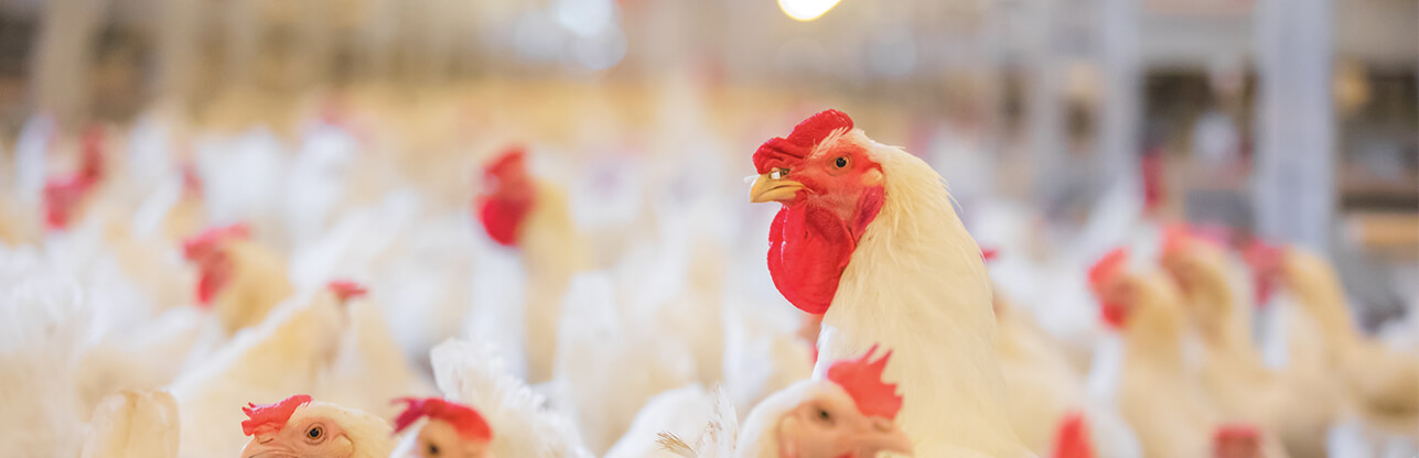 k8����(�й�)����Ӯ�ҡ�һ������