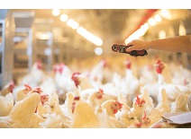 k8����(�й�)����Ӯ�ҡ�һ������