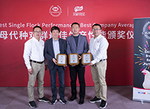 k8����(�й�)����Ӯ�ҡ�һ������