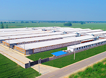 k8����(�й�)����Ӯ�ҡ�һ������