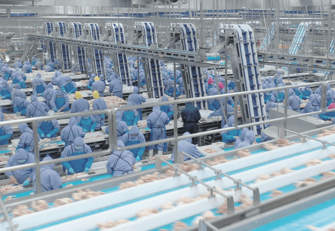 k8����(�й�)����Ӯ�ҡ�һ������