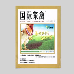 k8����(�й�)����Ӯ�ҡ�һ������