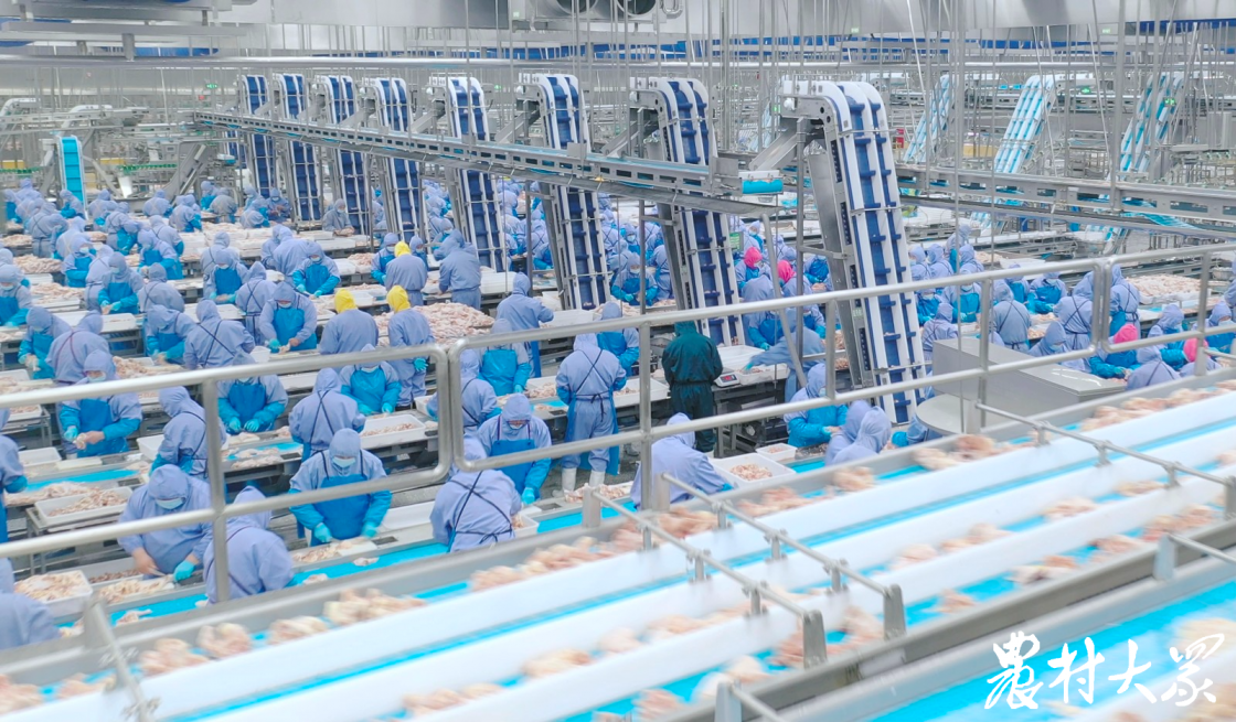 k8����(�й�)����Ӯ�ҡ�һ������