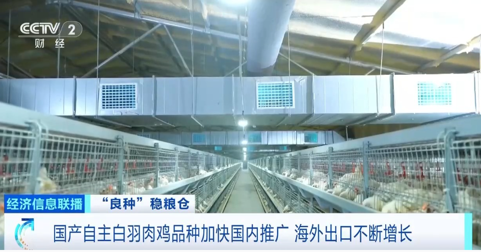 k8凯发(中国)天生赢家·一触即发