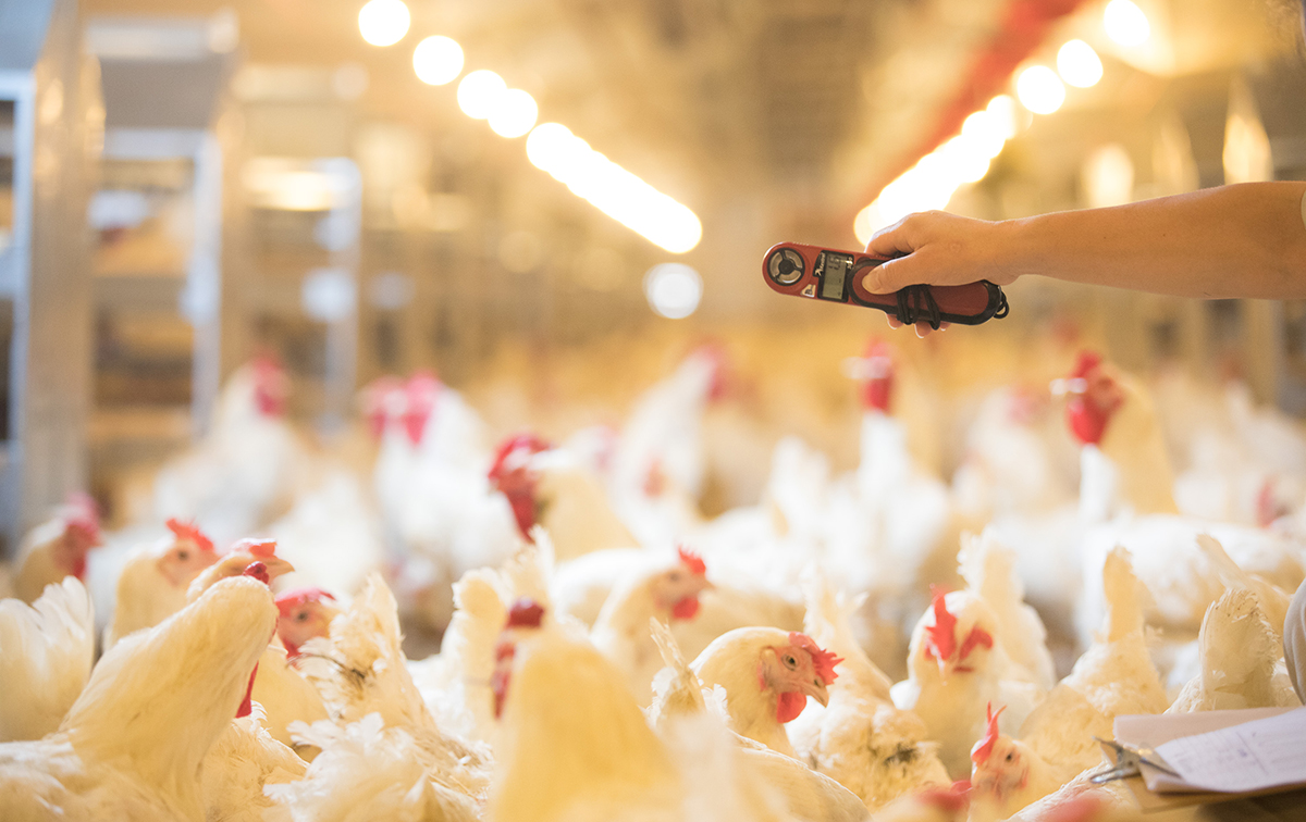 k8����(�й�)����Ӯ�ҡ�һ������