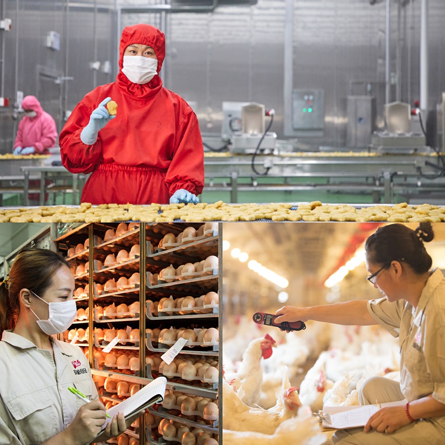 k8凯发(中国)天生赢家·一触即发