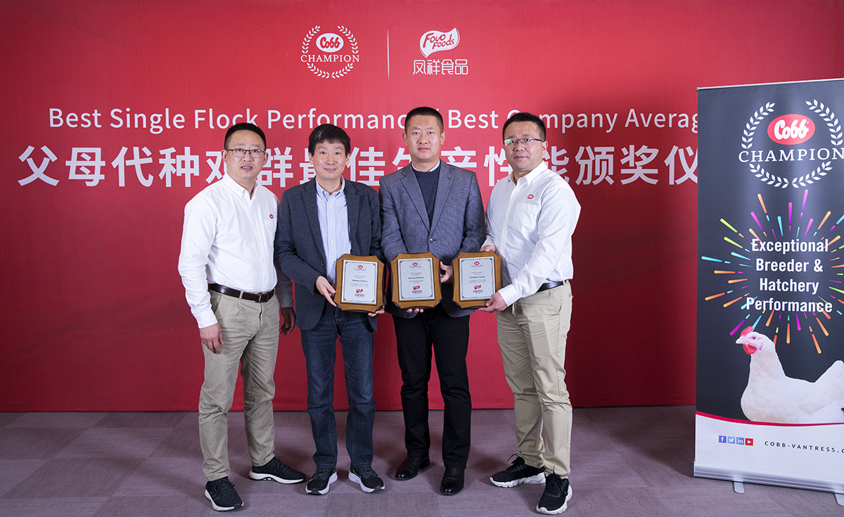 k8����(�й�)����Ӯ�ҡ�һ������