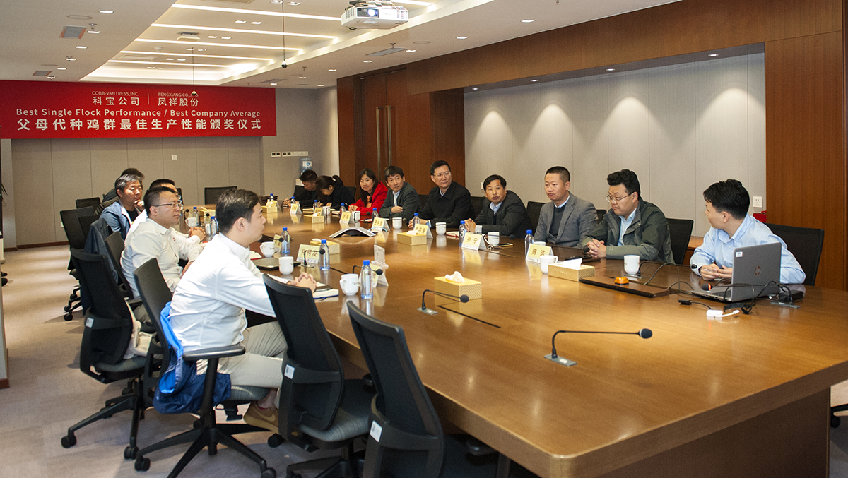 k8����(�й�)����Ӯ�ҡ�һ������