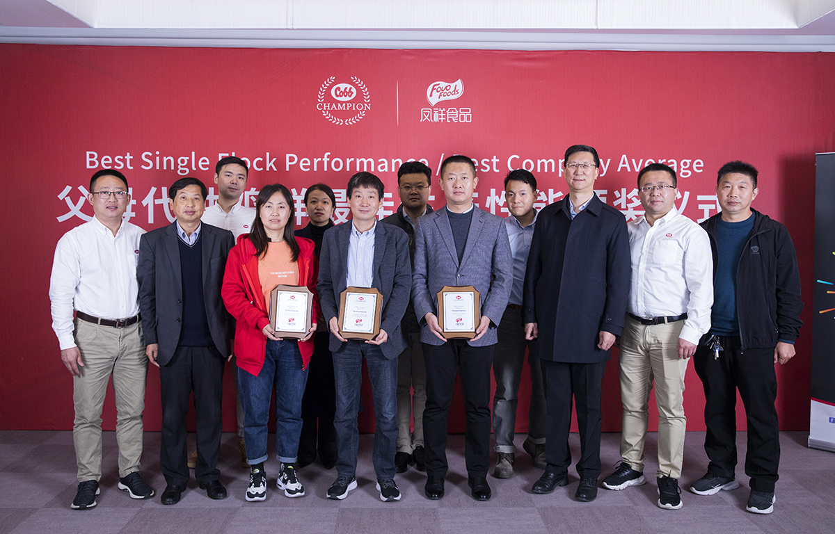 k8����(�й�)����Ӯ�ҡ�һ������