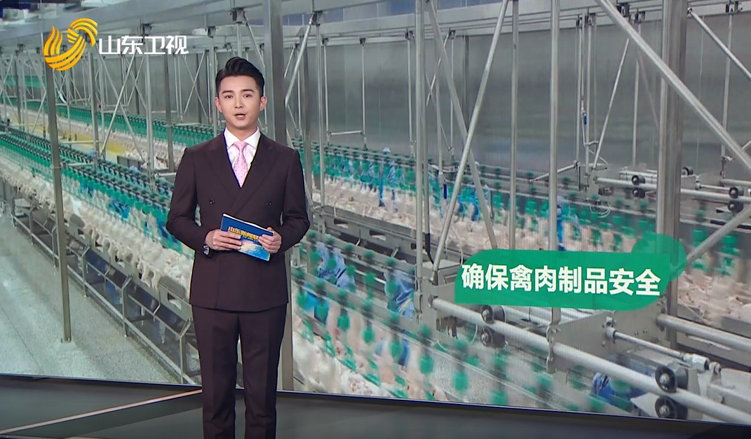 k8����(�й�)����Ӯ�ҡ�һ������