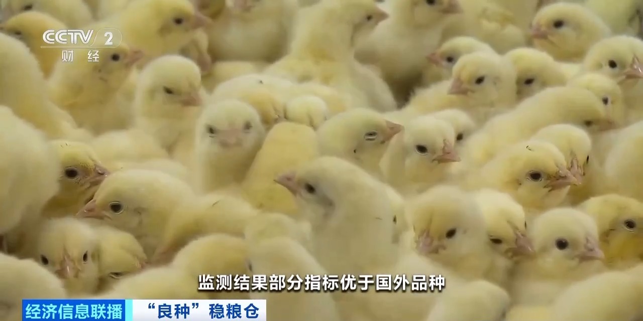 k8凯发(中国)天生赢家·一触即发