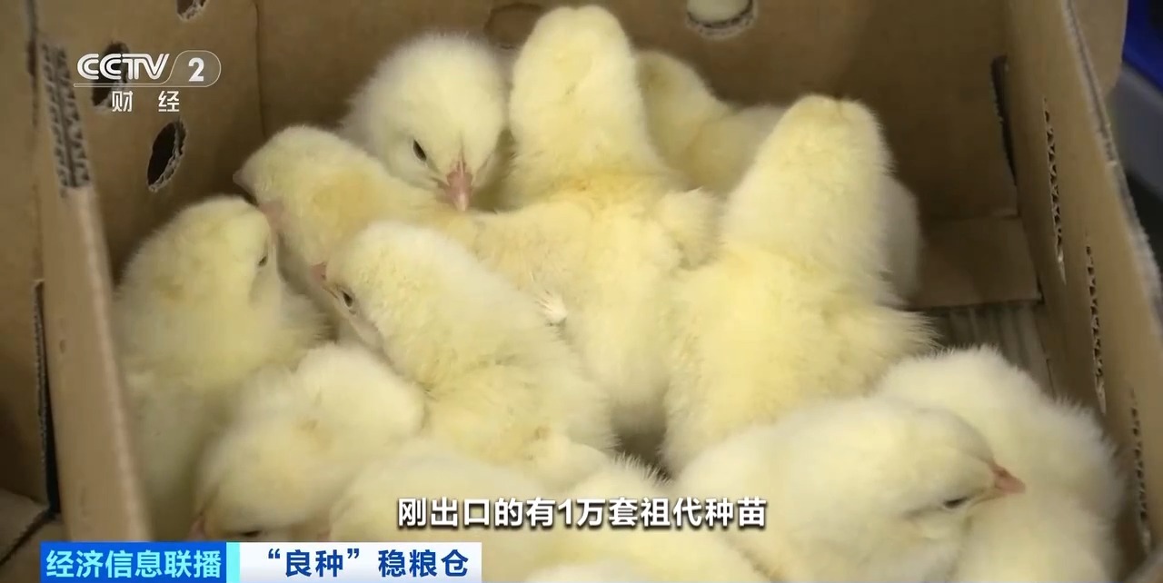 k8凯发(中国)天生赢家·一触即发